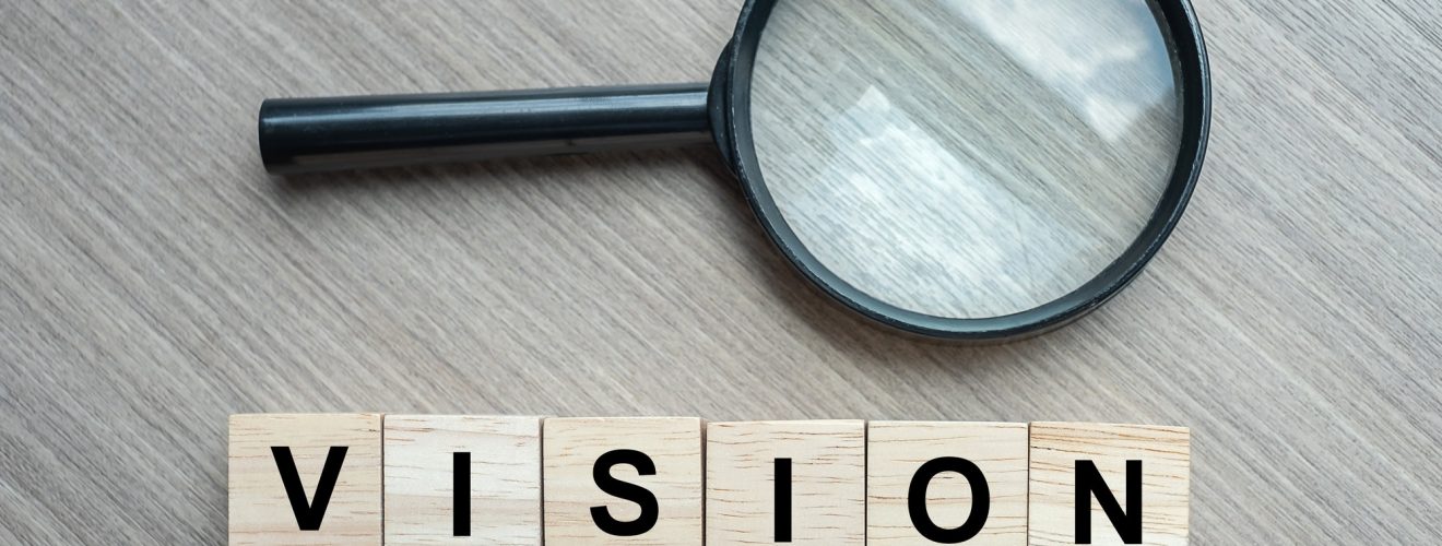 Vision